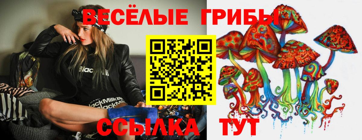 Псилоцибиновые грибы мицелий Муром